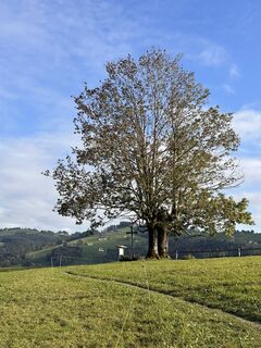 Zdjęcie z Cyrill Bischof wzdłuż trasy