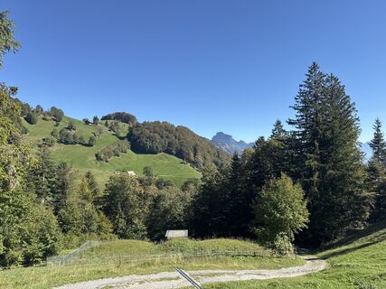 Fotografija s spletne strani Schlichthoerl St na poti