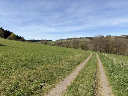 Photo de Frank Neumann le long du parcours