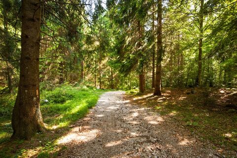 Auf dem Weg SAT 408