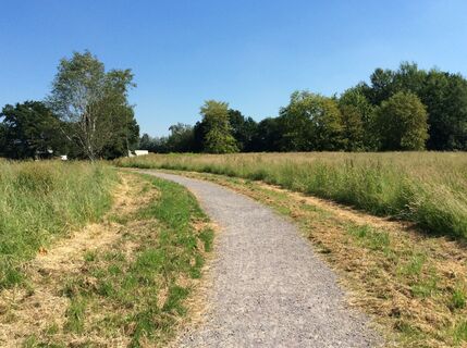 Teilabschnitt des Weges