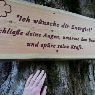 Ein Weg - lauter gute Wünsche