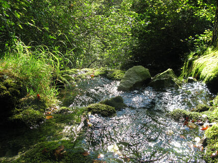Lochbrunnenquelle