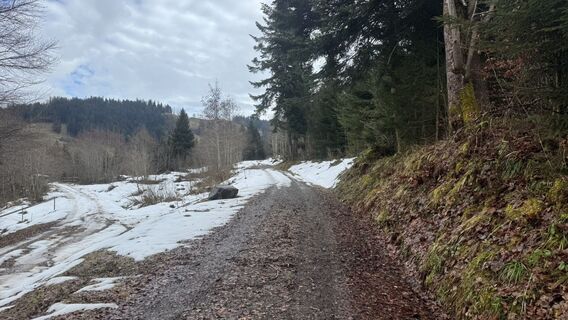 Photo de peter_oe le long du parcours