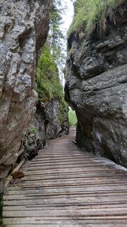 Photo de Ellsi le long du parcours
