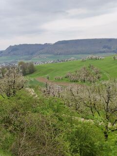 Fotografia z Sommer Joe na trase