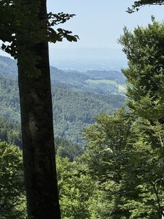 Foto von Jörg Bürkin entlang der Tour