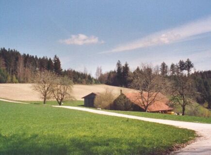 Windgeschützte Waldlichtung Neuhof
