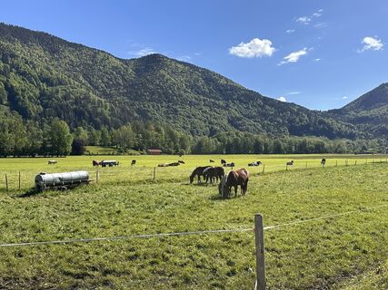 Foto von Michael entlang der Tour