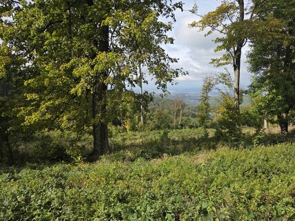 Foto von János Zsolt Mahr entlang der Tour