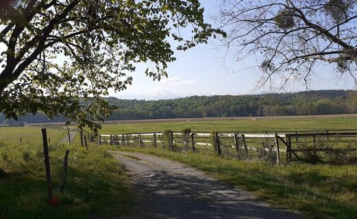 Lourdes V81 und pyrenäische Vorberge