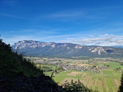 Foto von Drummerkaktus entlang der Tour