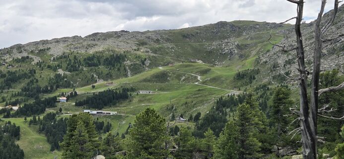 Photo de Alfred Haydn le long du parcours