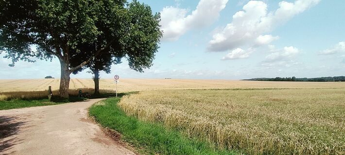 Foto von Niek Werf entlang der Tour