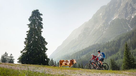 E-Biken im Gaistal