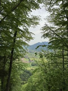 Foto de Amando zen a lo largo del recorrido