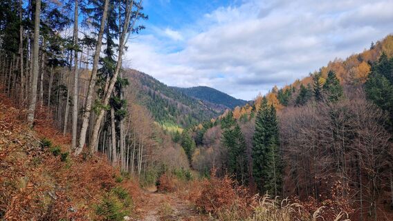 Фото с сайта EP87 во время экскурсии