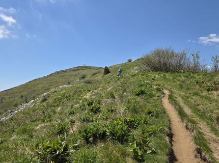 Photo de Axel Holtz le long du parcours