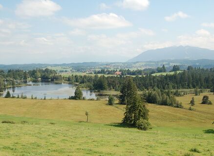 Ausblick von der Schönegg Alm auf den Schwaigsee.
