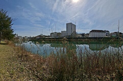 Foto de Mangolein a lo largo del recorrido