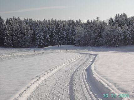 PICT0253