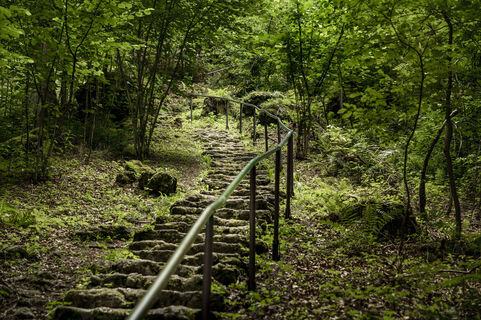 Walderlebnispfad Velburg