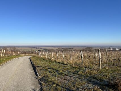 Fotografia z Johannes Schida na trase