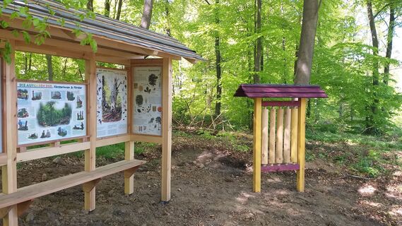 Dendrophon und Aufgaben der Förster/Innen