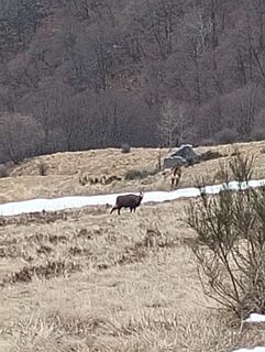 Foto från Daniele Berini under resans gång