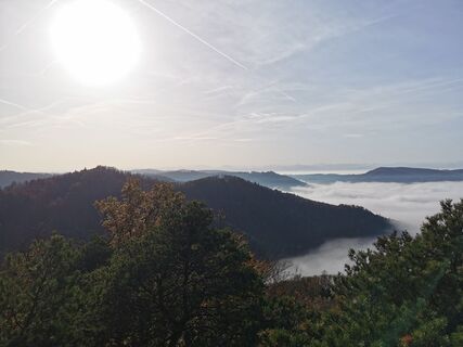Foto von Michael Spranger entlang der Tour