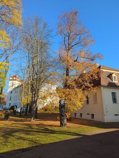 Photo de Mike Heinßmann le long du parcours