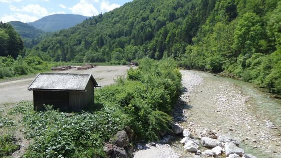 Krumme Steyrling