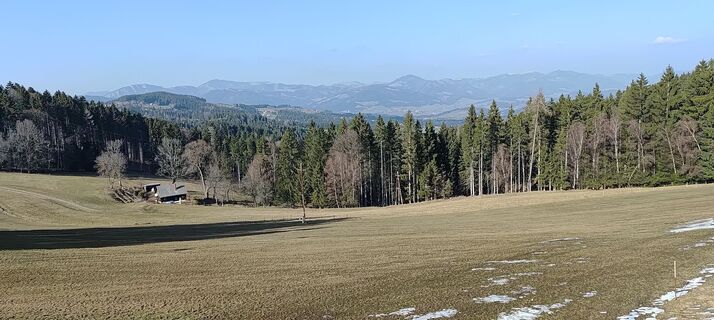 Foto von wolfkl entlang der Tour