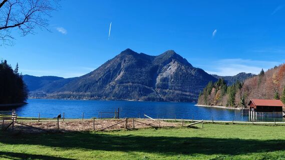 Foto da Viola Kriete lungo il tour