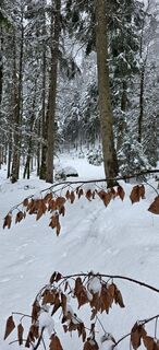 Foto von Thomas Toth 1 entlang der Tour