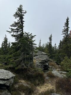 Photo de Georg B. Meier le long du parcours