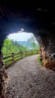 Fotografija s spletne strani Regina Fleischmann na poti