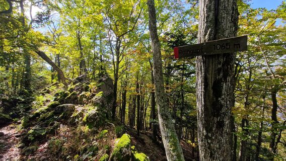 Foto von Ernst Brezina entlang der Tour