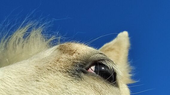 Fotografia z Bret Edith na trase