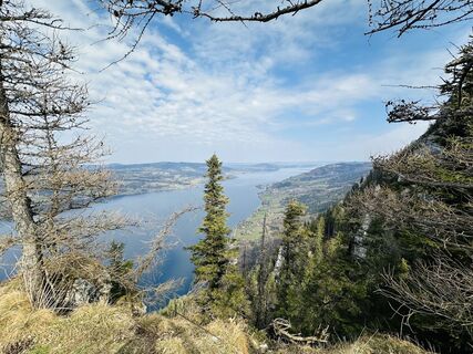 Zdjęcie z Manuel Leitner wzdłuż trasy