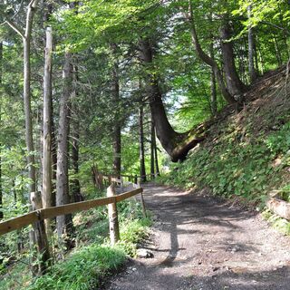 Den strengsten Abschnitt geschafft