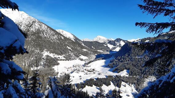 Ferienwohnungen Haus Seebach