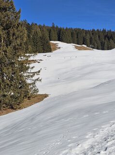 Fotografie de la bergfan6 de-a lungul turului