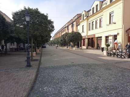 Fotografia z Heinz 68 na trase