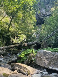 Foto von JD entlang der Tour