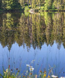 Mathisleweiher