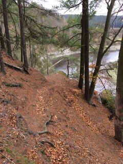 Waldweg zur Agnesruh