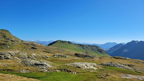 Foto von Juliane Jarke entlang der Tour
