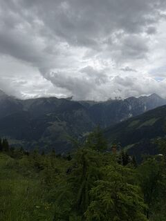 Fotografija s spletne strani Marielle van Gent-Bos na poti