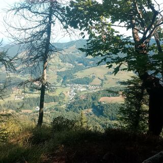 Photo de Lisa Pimminger 1 le long du parcours
